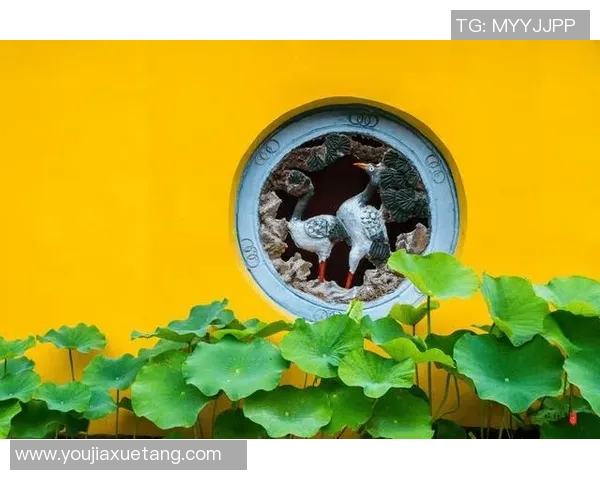 禅意足球明星的魅力与哲学探讨揭示运动与心灵的完美结合