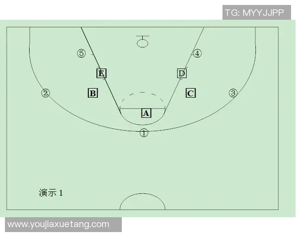 深入分析成都排球队区域防守战术的特点与应用策略