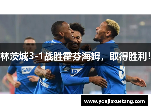 林茨城3-1战胜霍芬海姆，取得胜利！